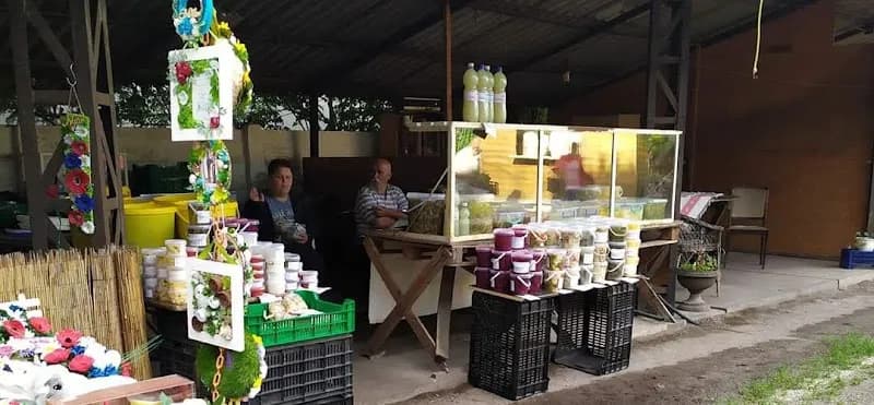 View of Termelői Hangyapiac in Halásztelek, Budapest