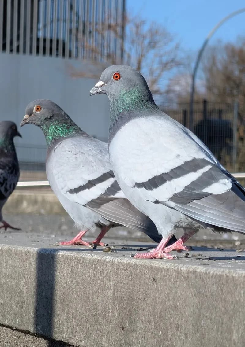 View of Terrassen Am Tegeler Hafen in Potsdam, BB