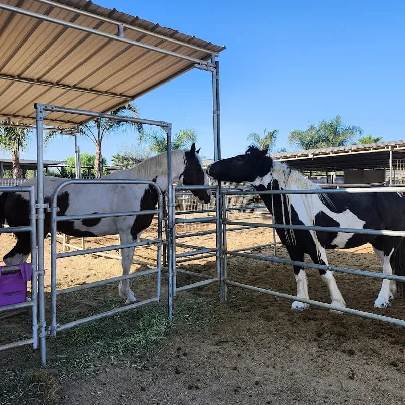 View of Tesoro Farms in Riverside, CA