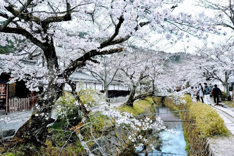 Tetsugaku No Michi route in Kyoto, KT