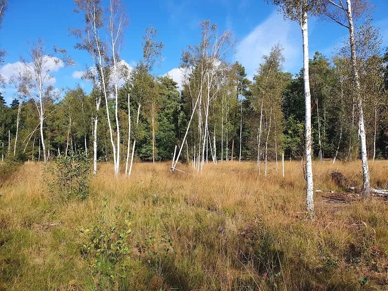 Teufelsseemoor Köpenick tourist attraction in Berlin, BE