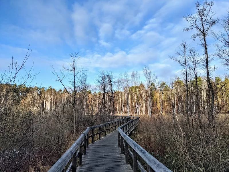 View of Teufelsseemoor Köpenick in Berlin, BE