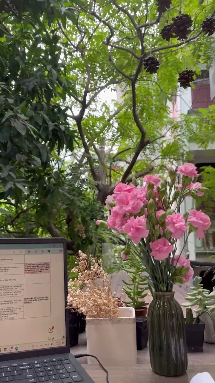 View of Thư Viện Cộng Đồng Bắc Từ Liêm in Bắc Từ Liêm, HN