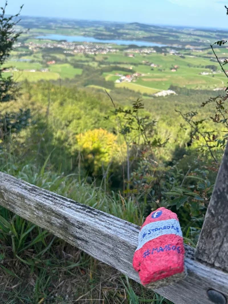 View of Thalgau Forest Trails (Thalgauer Waldwege) in Thalgau, Salzburg