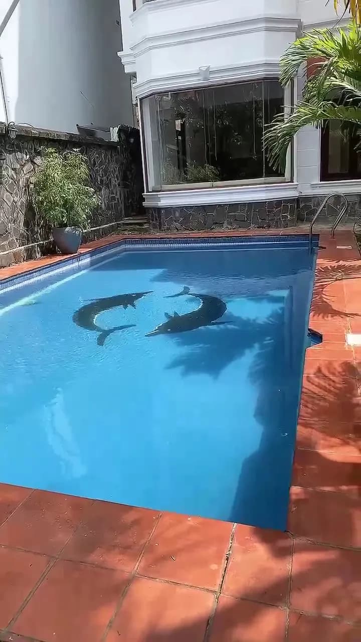 View of Thao Dien Village in Binh Thanh, HCMC