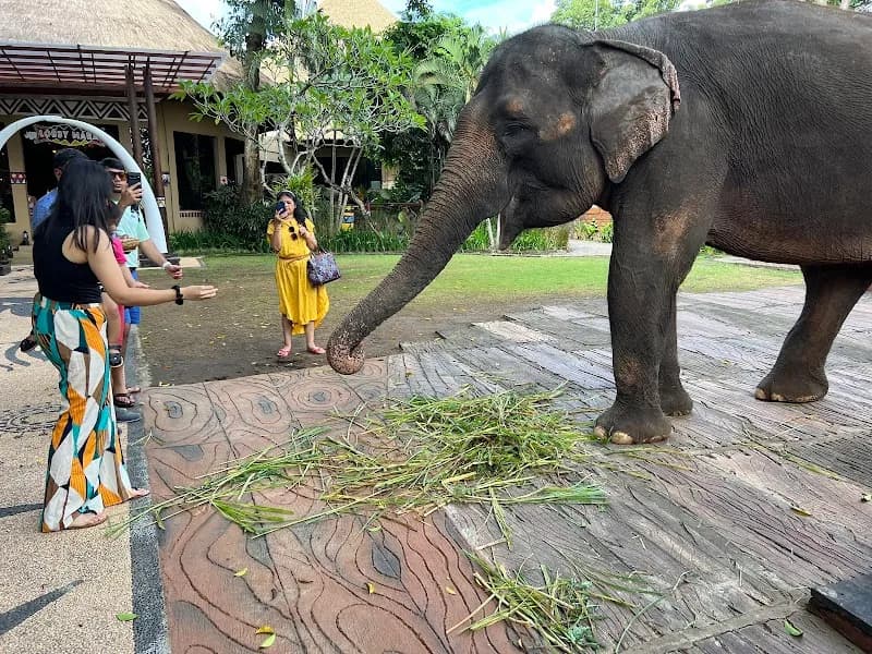 View of The Amazing Taman Safari Bali in Bali, BA