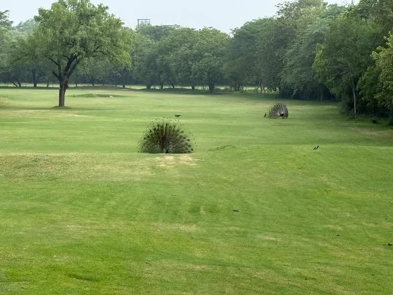 The Aravalli Golf Club Park park in Indirapuram, UP