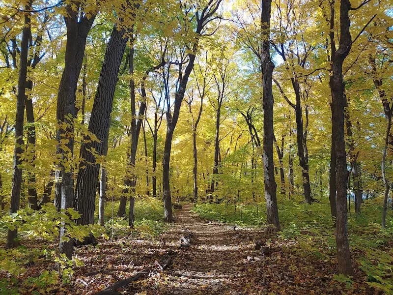The Big Woods Preserve park in Wayzata, MN