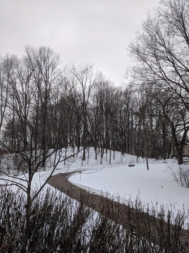 View of The Big Woods Preserve in Wayzata, MN