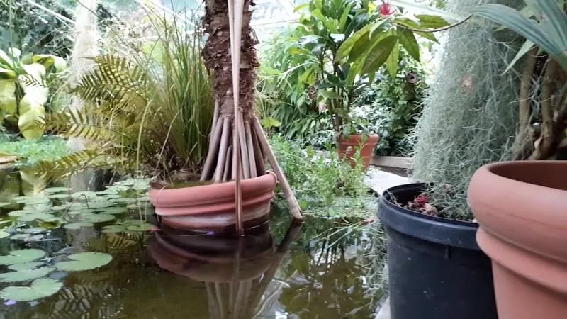 View of The Botanical Garden in Tøyen, Oslo