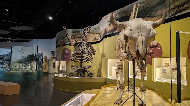 View of The Charleston Museum in Charleston, SC