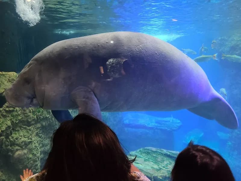 View of The Dallas World Aquarium in Dallas, TX