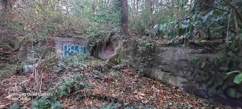 The Des Moines Creek Trail route in SeaTac, WA