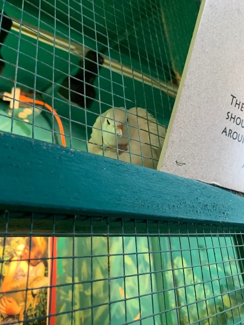 View of The Discovery Center & Truth Bookstore in Abilene, TX