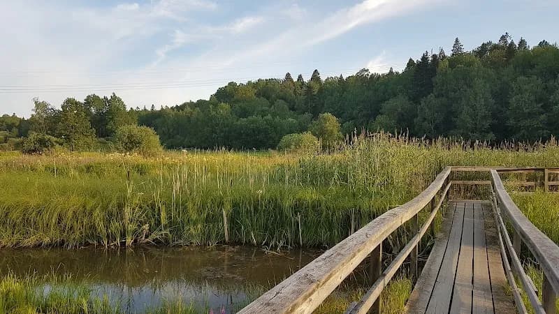The Flemingsberg Forest Nature Reserve nature preserve in Huddinge, Stockholm