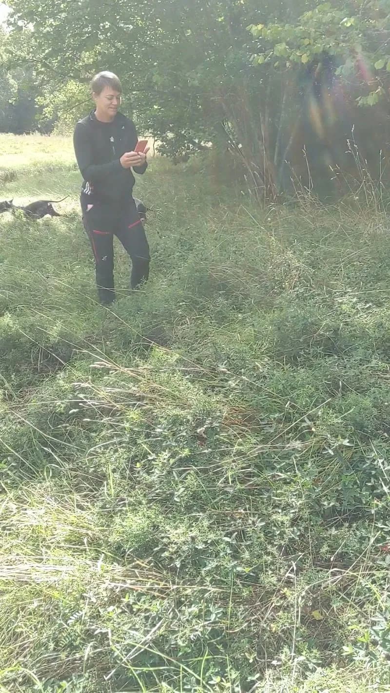 View of The Flemingsberg Forest Nature Reserve in Huddinge, Stockholm