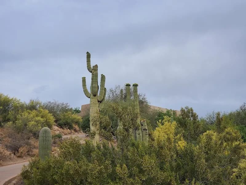 View of The Gallery Golf Club in Dove Mountain, AZ
