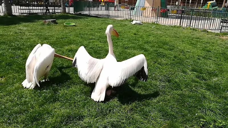View of The Jordan Zoo in Amman, AM