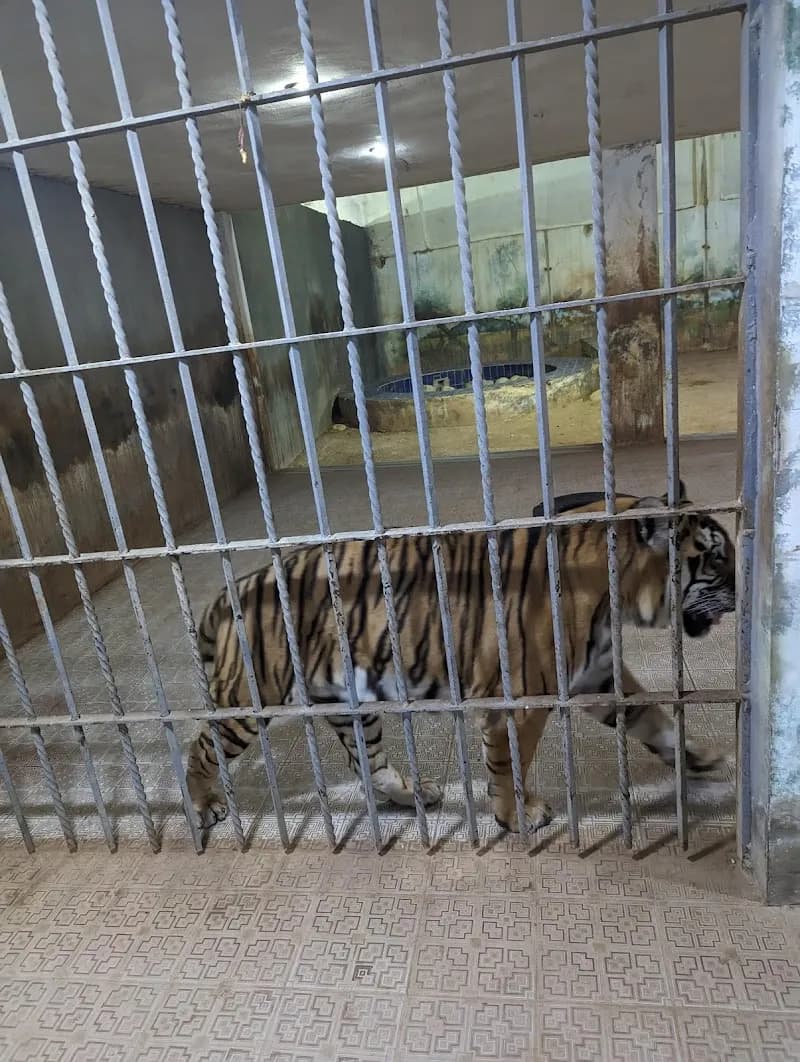 View of The Jordan Zoo in Amman, AM