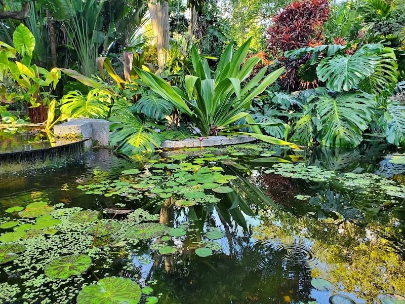 View of The Kampong, National Tropical Botanical Garden in Coconut Grove, FL