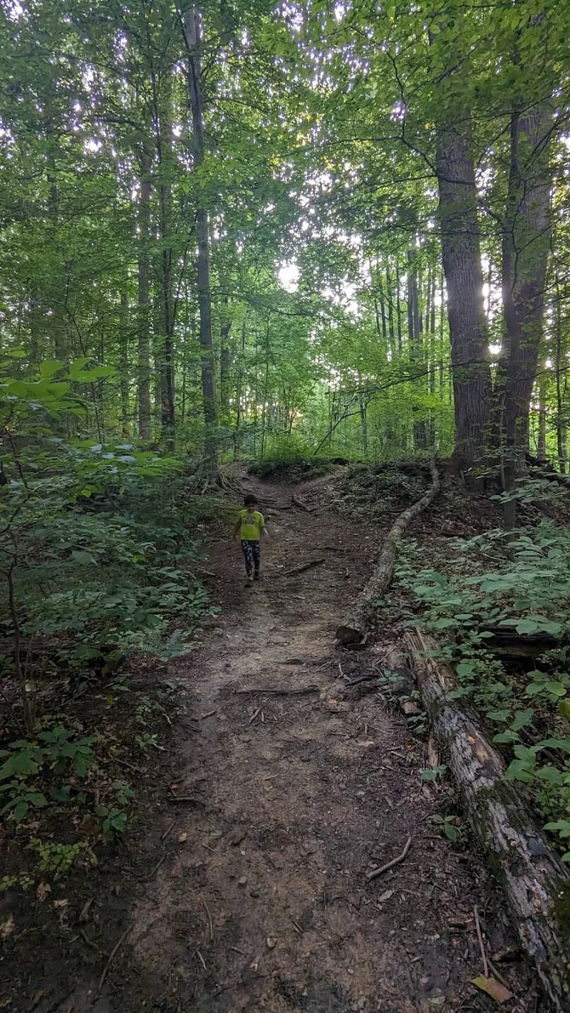 The Kidd's Nature Pavilion picnic ground in Cockeysville, MD