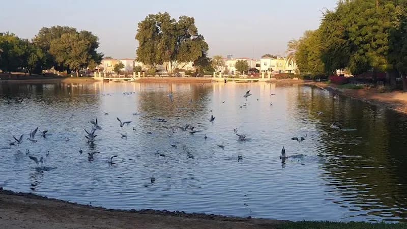 View of The Lake | Al Reem Arabian Ranches in Arabian Ranches, Dubai