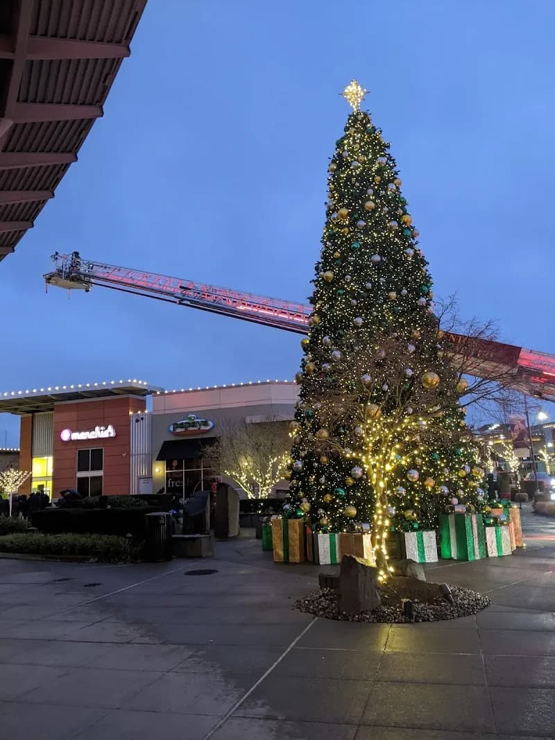 View of The Landing in Renton, WA