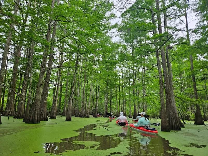 View of The Last Wilderness Eco-Swamp Tours & Cabins in Baton Rouge, LA