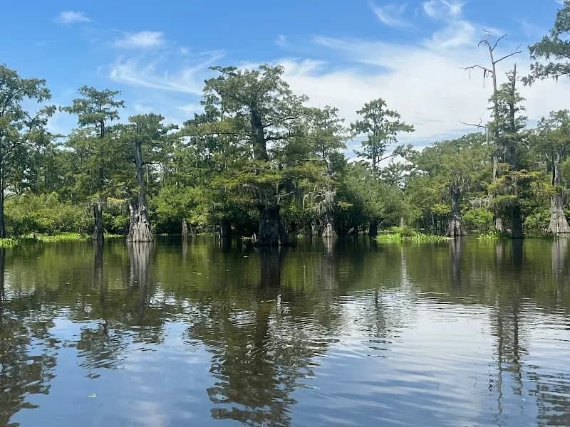 View of The Last Wilderness Eco-Swamp Tours & Cabins in Baton Rouge, LA