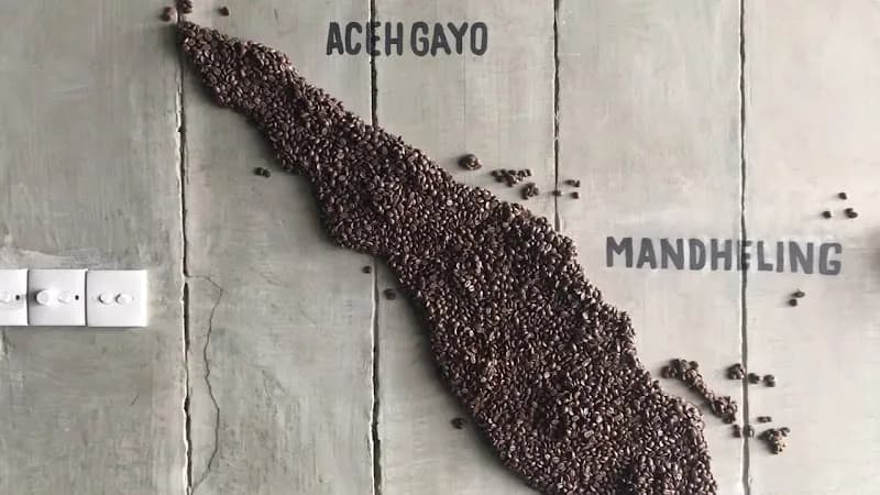 View of The Library in Seminyak, Bali