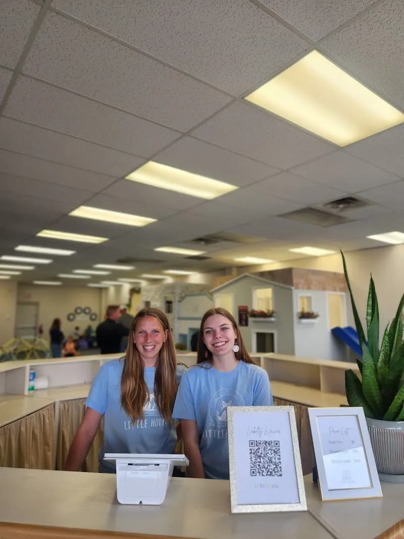The Little Hollow indoor playground in Willoughby, OH
