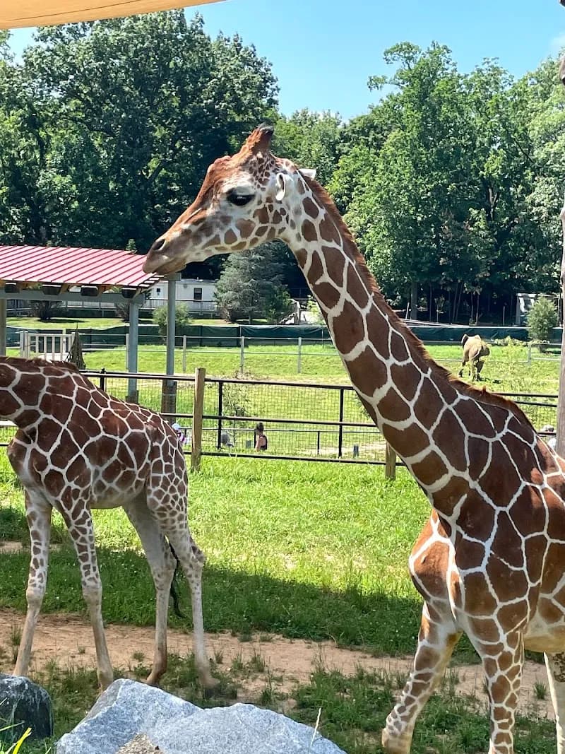View of The Maryland Zoo in Baltimore in Baltimore, MD
