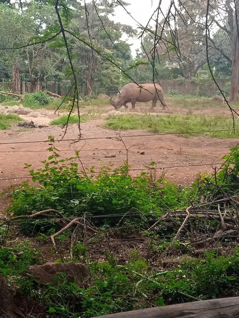 View of The Nairobi Children's Museum Ngong Outreach Center in Ngong, Nairobi