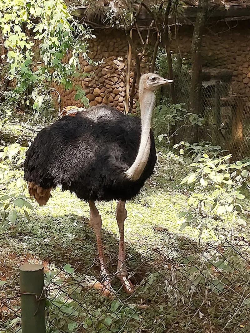View of The Nairobi Children's Museum Ngong Outreach Center in Ngong, Nairobi