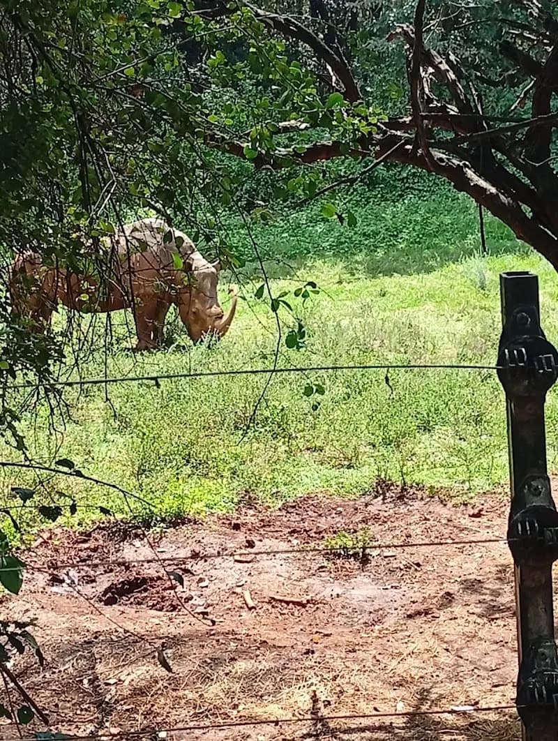 The Nairobi National Park Visitor Centre museum in Nairobi, NBO
