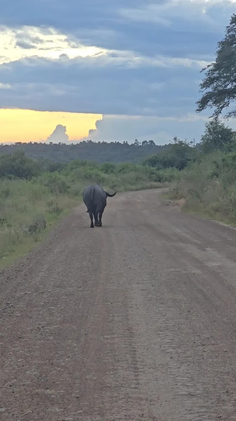 View of The Nairobi National Park Visitor Centre in Nairobi, NBO