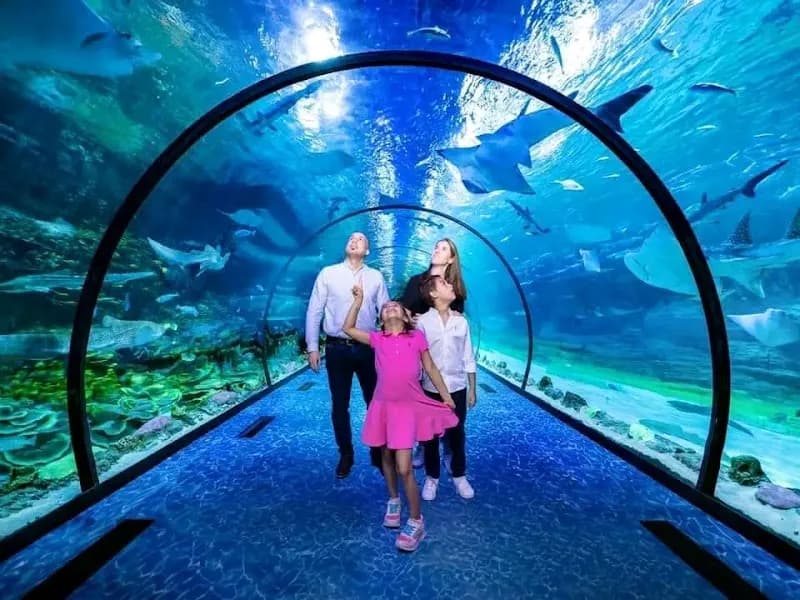 The National Aquarium Abu Dhabi aquarium in Abu Dhabi, AUH