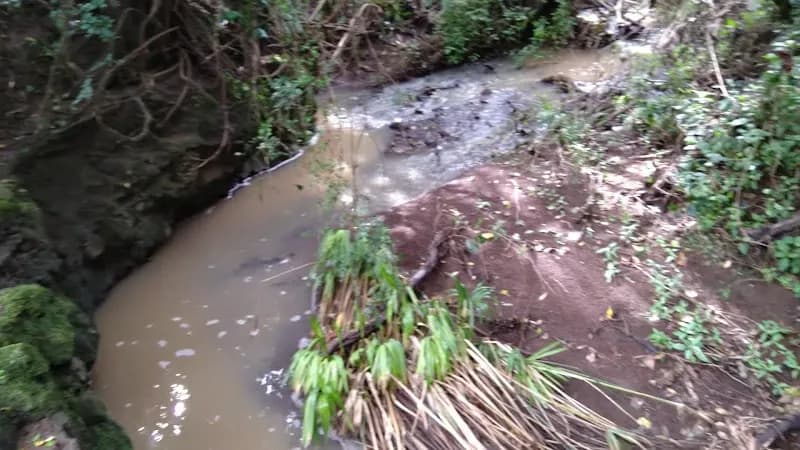 View of The Oloolua Nature Trail in Langata, Nairobi