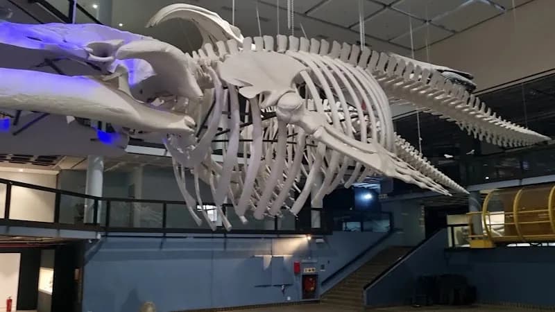 View of The Planetarium in Cape Town, WC