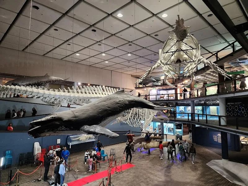View of The Planetarium in Cape Town, WC
