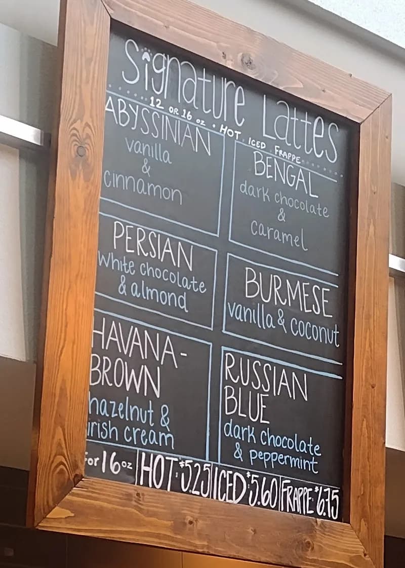 View of The Red Cat Coffeehouse in Mountain Brook, AL