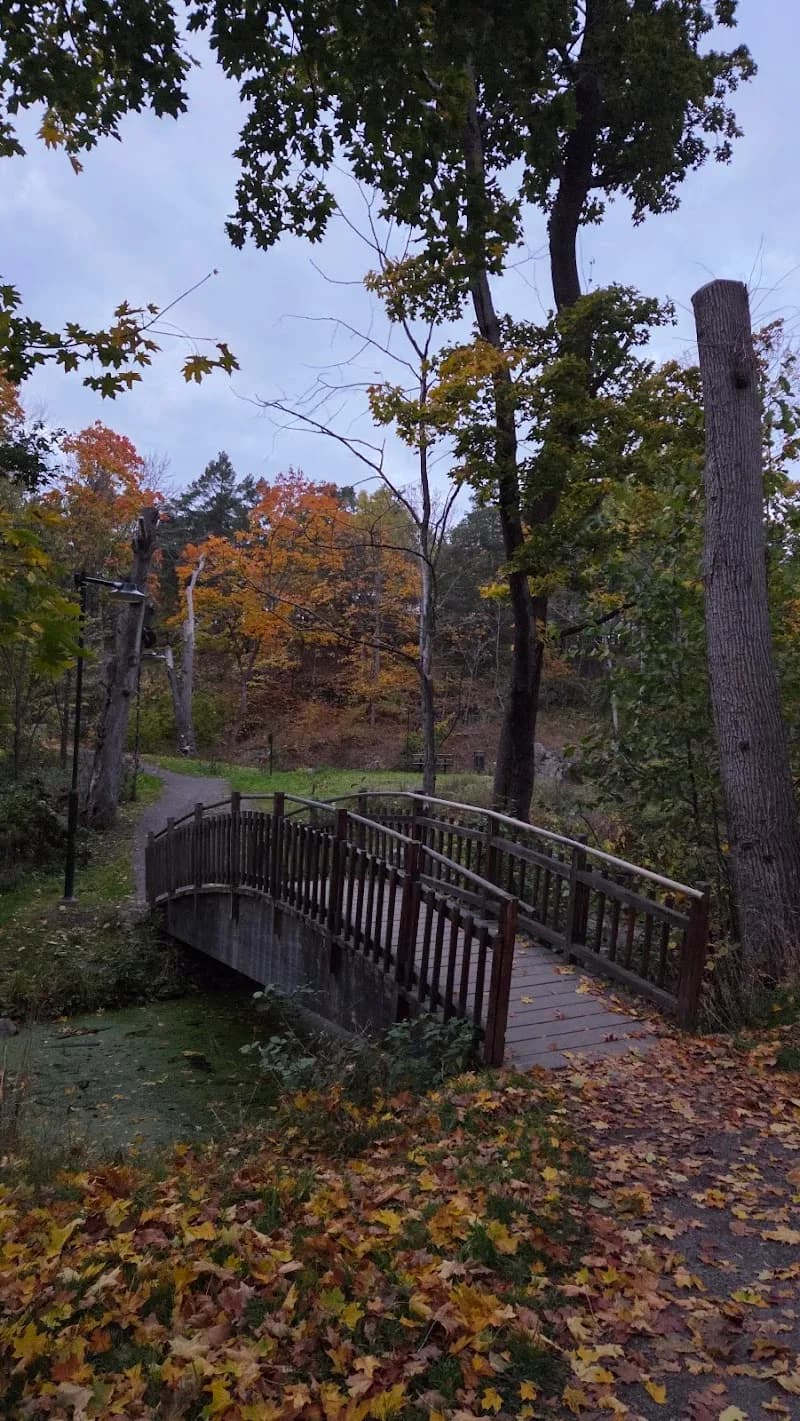 View of The Årsta Forest Nature Reserve in Farsta, Stockholm
