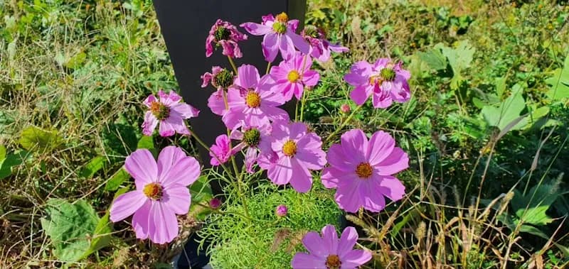 View of The Shrine of Okpo Great Victory Commemorative Park in Geoje-si, Busan