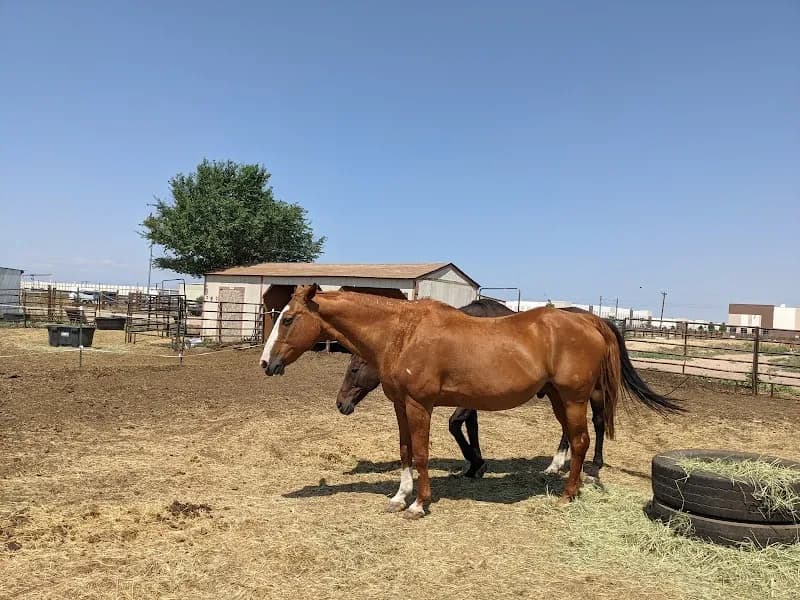View of The Urban Farm in Aurora, CO