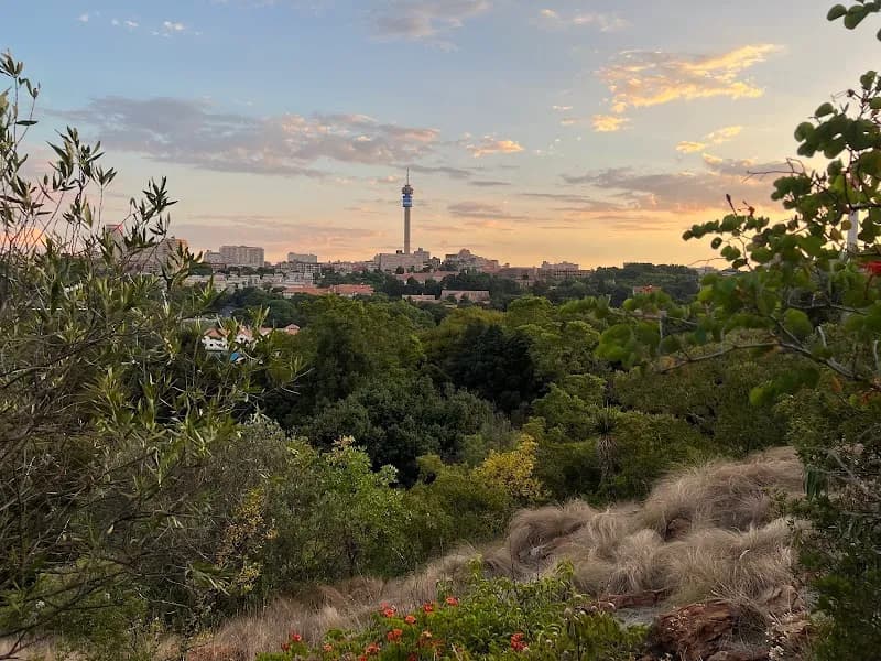 View of The Wilds Nature Reserve in Sandton, GP