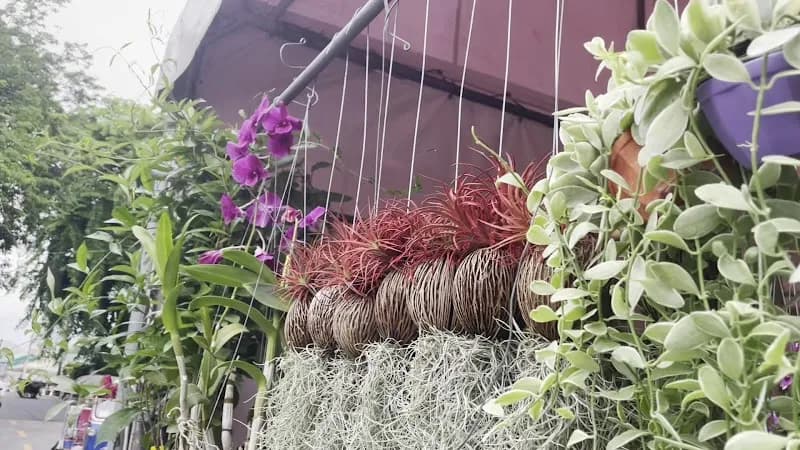 View of Thewet Market & Waterfront in Dusit, BKK