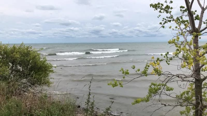 View of Thicksons Woods in Whitby, ON
