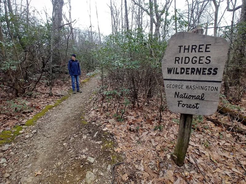 View of Three Ridges Wilderness in Charlottesville, VA