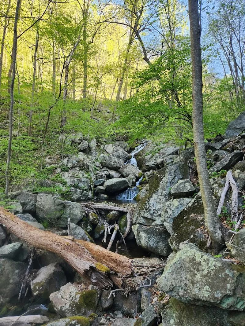 View of Three Ridges Wilderness in Charlottesville, VA
