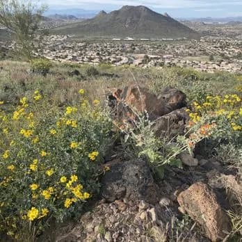 View of Thunderbird Conservation Park in Glendale, AZ